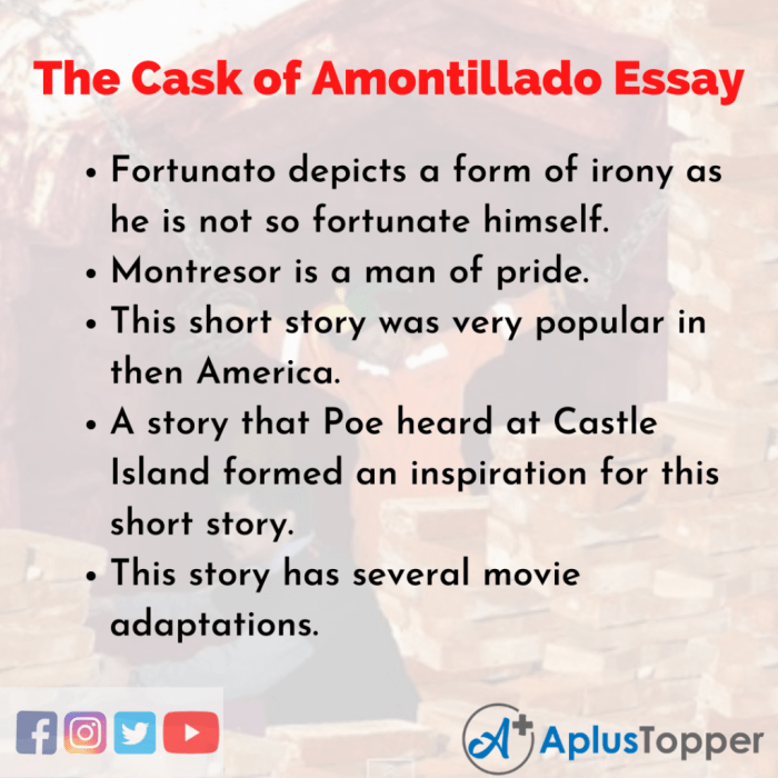 Cask amontillado essay edgar allan