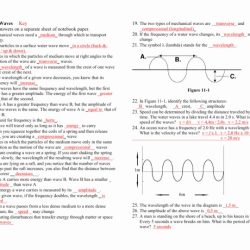 Anatomy of a wave worksheet