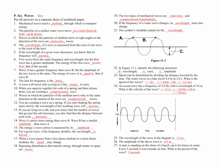 Anatomy of a wave worksheet