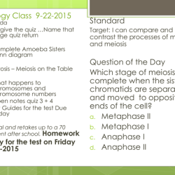 Amoeba sisters video recap of meiosis answer key pdf