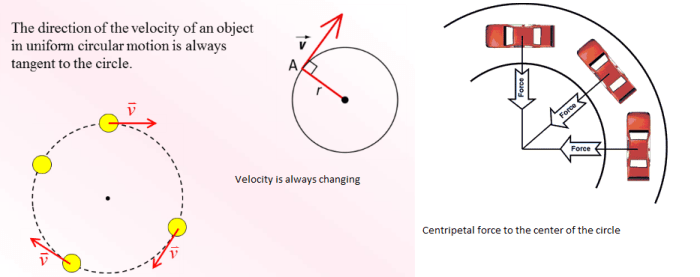 Unit 3 circular motion and gravitation worksheet answers
