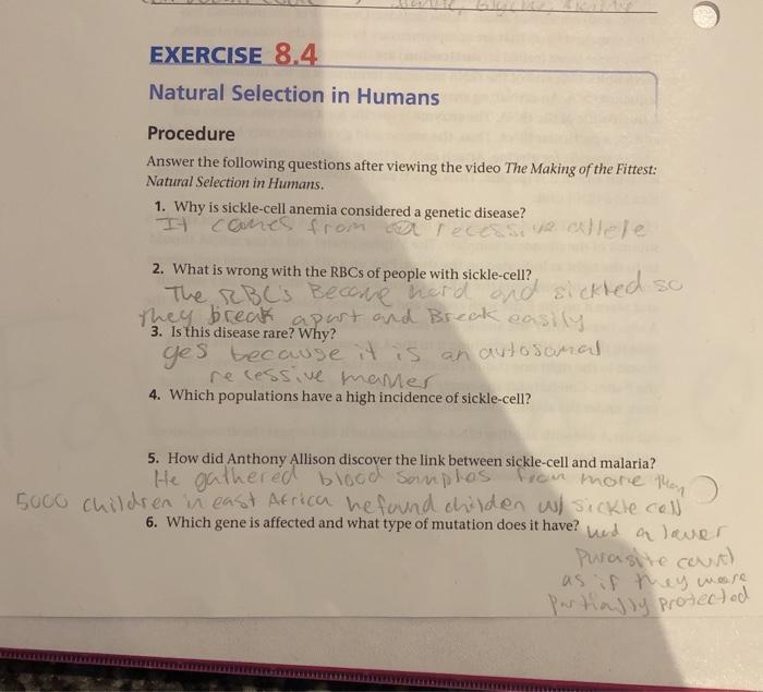 The making of the fittest natural selection answer key