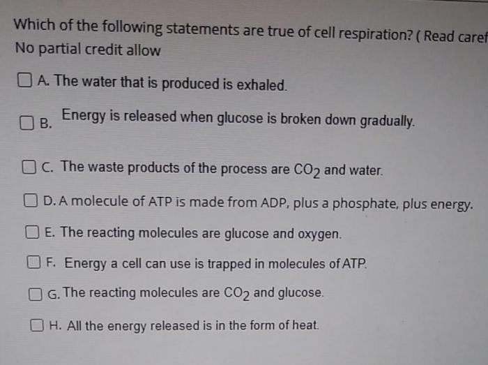 Which of the following statements about cellular respiration is true