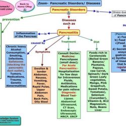 Nurse logic 2.0 nursing concepts advanced test