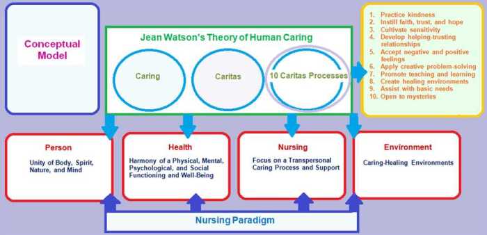 Nurse logic 2.0 nursing concepts advanced test