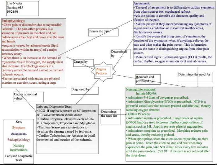 Nurse logic 2.0 nursing concepts advanced test